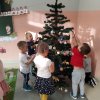 2020 Ubieraniechoinka Biedronki
